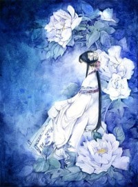 皇上的小公子