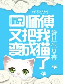 師兄師傅又把我變成貓了
